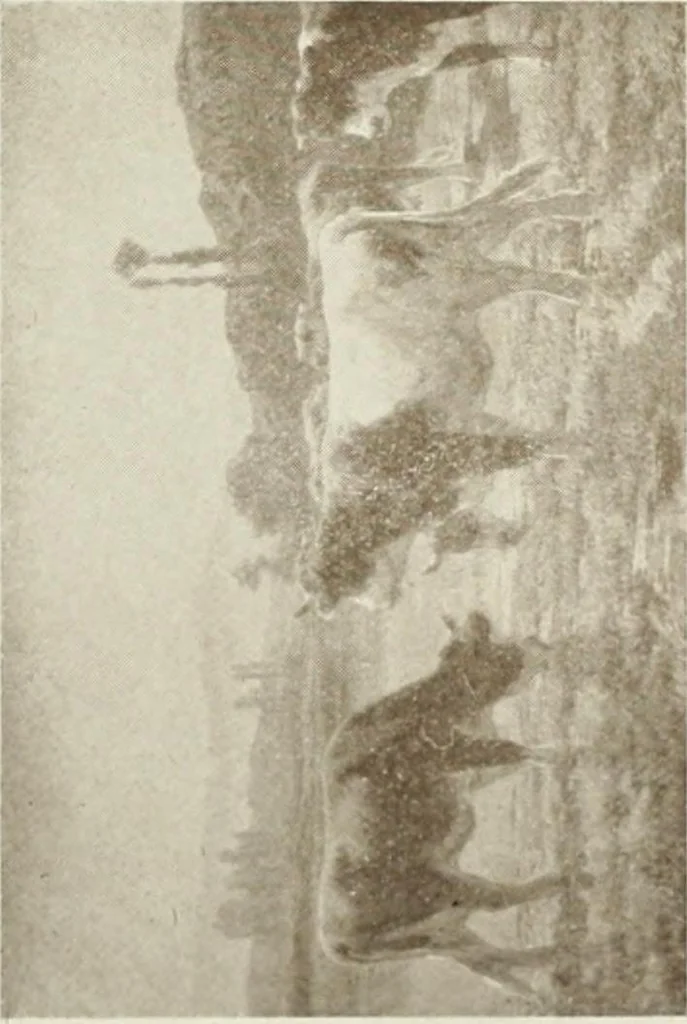 An illustration from Catalogue illustré, 1879, leaf 200