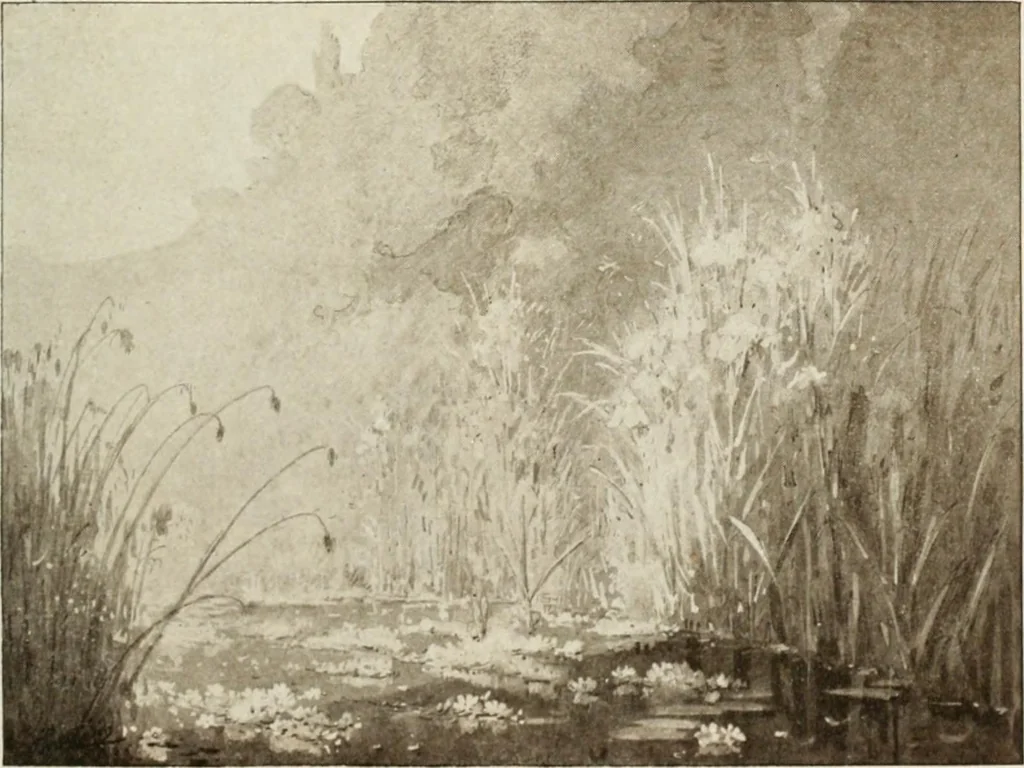 An illustration from Catalogue illustré, 1879, leaf 204