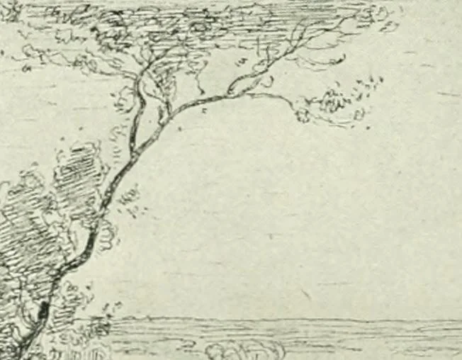 An illustration from Catalogue illustré, 1879, leaf 221