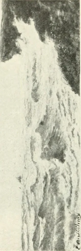An illustration from Catalogue illustré, 1879, leaf 227