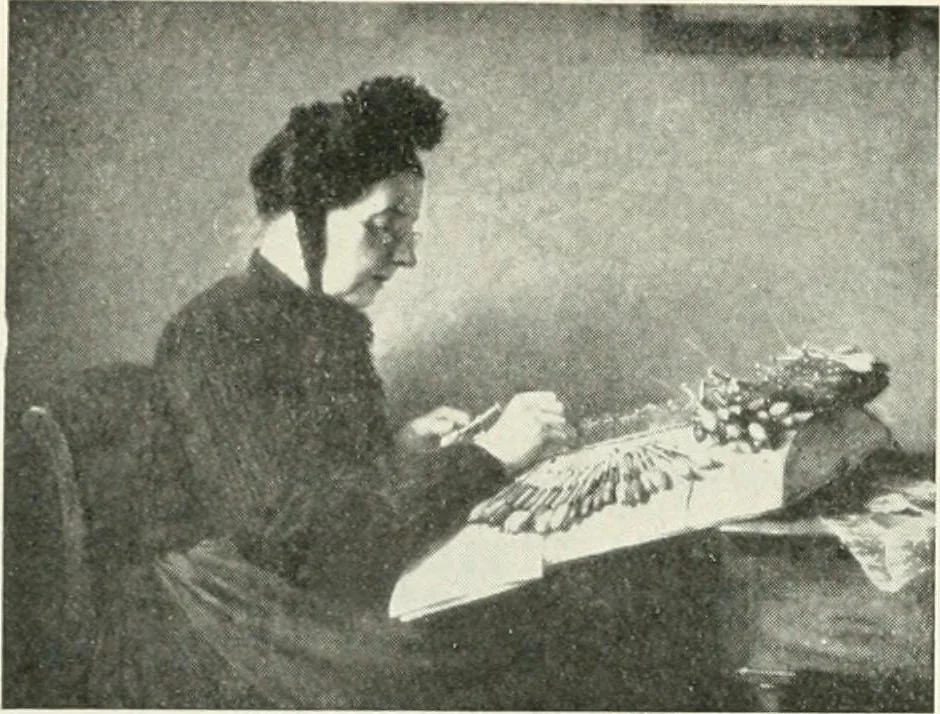 An illustration from Catalogue illustré, 1879, leaf 227