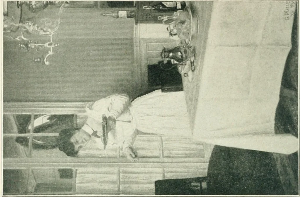 An illustration from Catalogue illustré, 1879, leaf 229