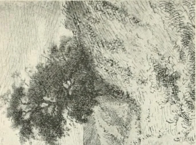 An illustration from Catalogue illustré, 1879, leaf 231