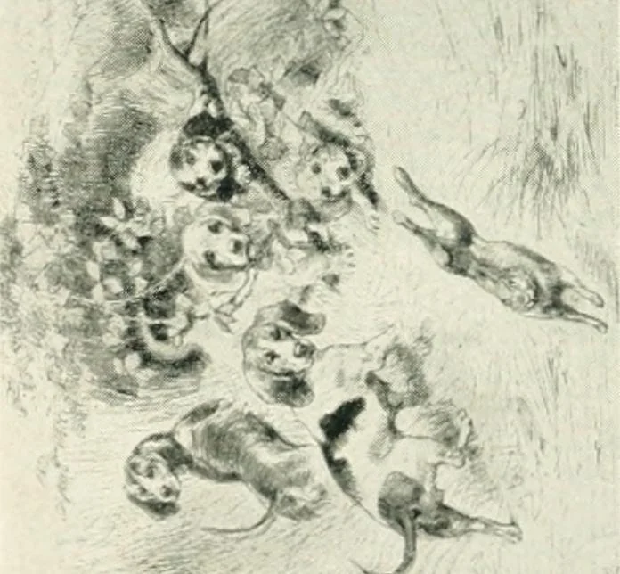 An illustration from Catalogue illustré, 1879, leaf 233
