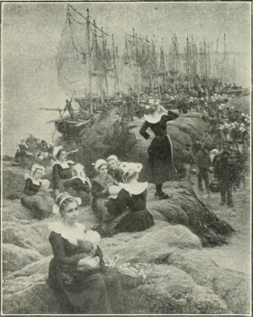 An illustration from Catalogue illustré, 1879, leaf 238