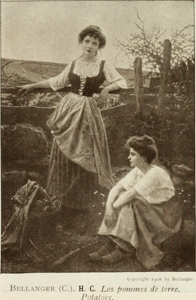 An illustration from Catalogue illustré, 1879, leaf 244