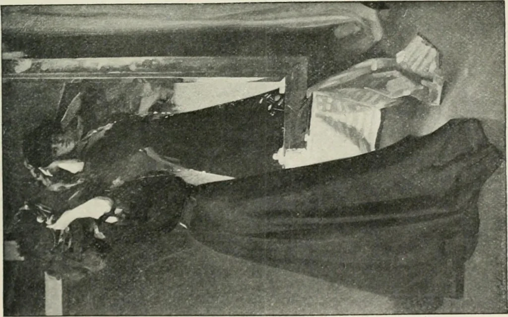 An illustration from Catalogue illustré, 1879, leaf 246