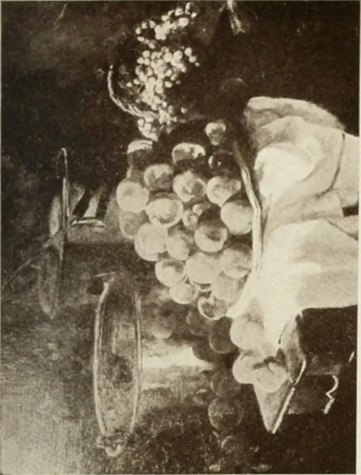 An illustration from Catalogue illustré, 1879, leaf 248