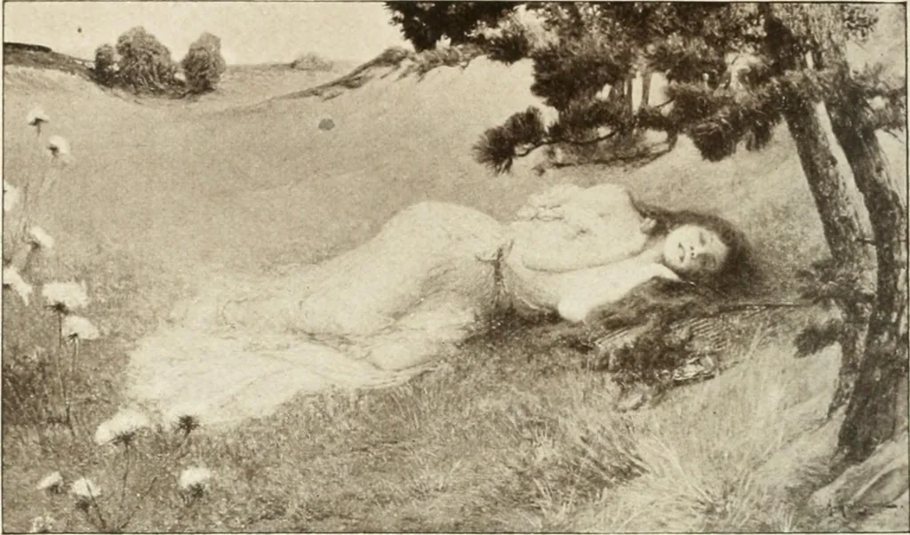 An illustration from Catalogue illustré, 1879, leaf 251