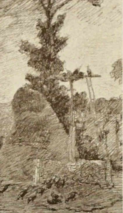 An illustration from Catalogue illustré, 1879, leaf 260