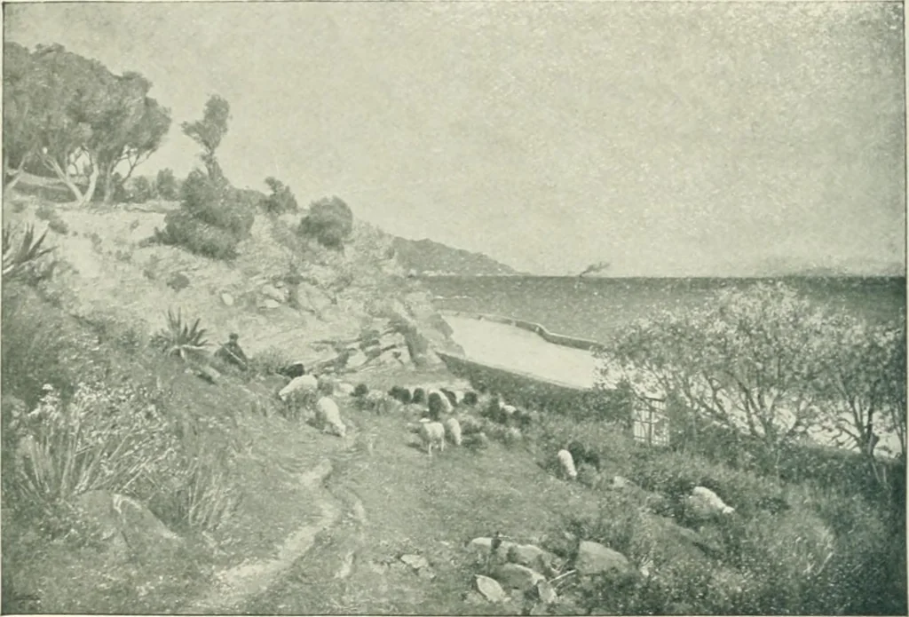 An illustration from Catalogue illustré, 1879, leaf 269