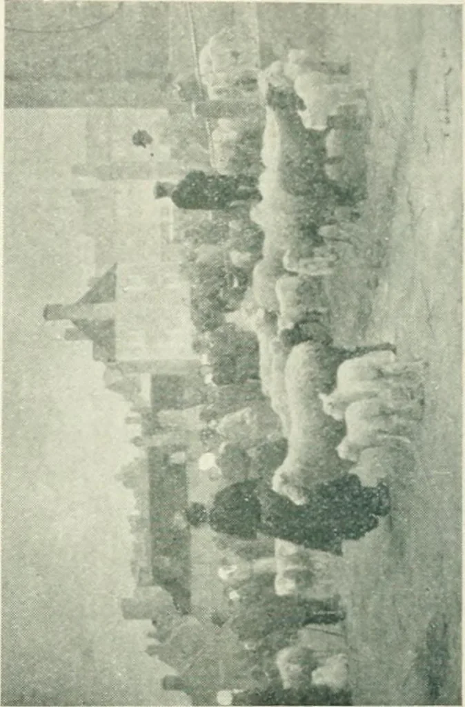 An illustration from Catalogue illustré, 1879, leaf 273