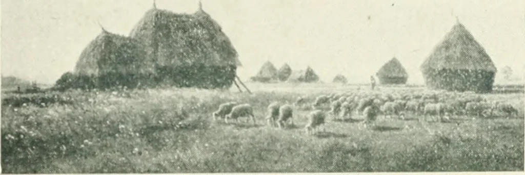 An illustration from Catalogue illustré, 1879, leaf 273