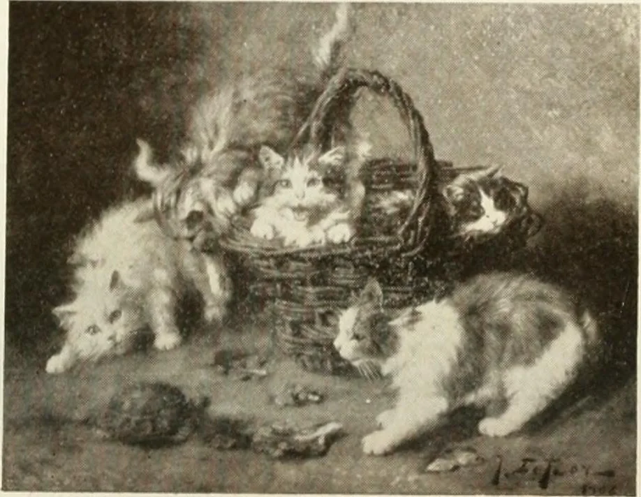 An illustration from Catalogue illustré, 1879, leaf 275