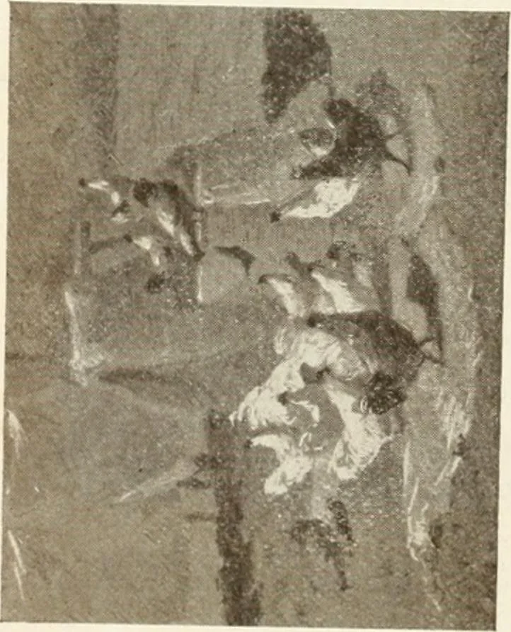 An illustration from Catalogue illustré, 1879, leaf 275