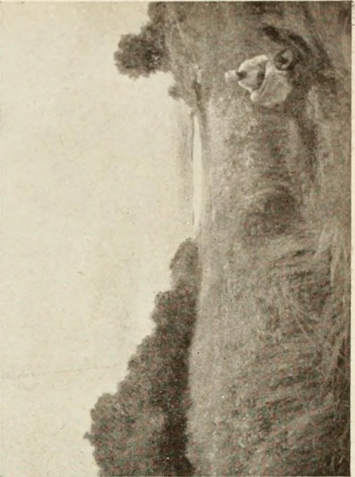 An illustration from Catalogue illustré, 1879, leaf 276
