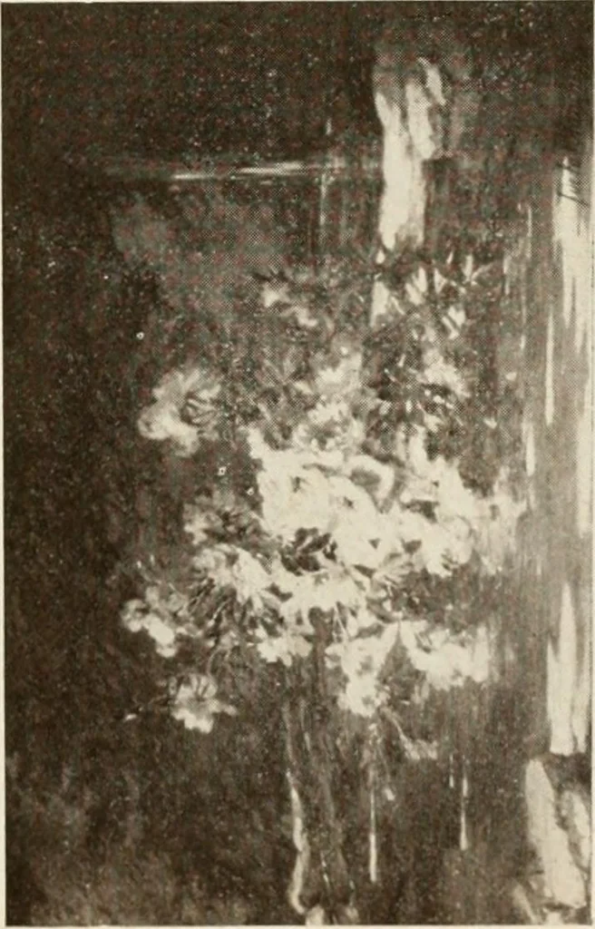 An illustration from Catalogue illustré, 1879, leaf 276