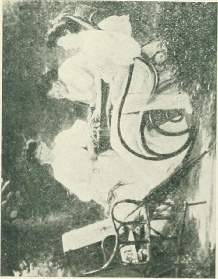 An illustration from Catalogue illustré, 1879, leaf 277