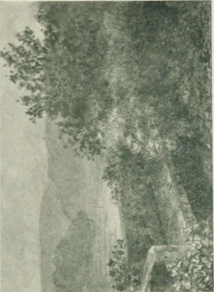 An illustration from Catalogue illustré, 1879, leaf 278