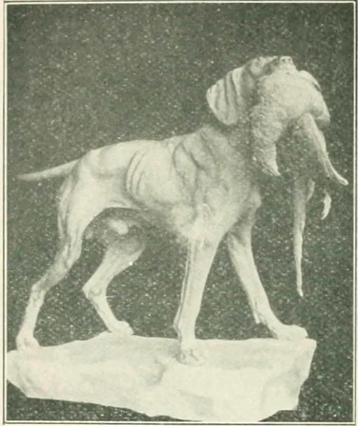 An illustration from Catalogue illustré, 1879, leaf 285