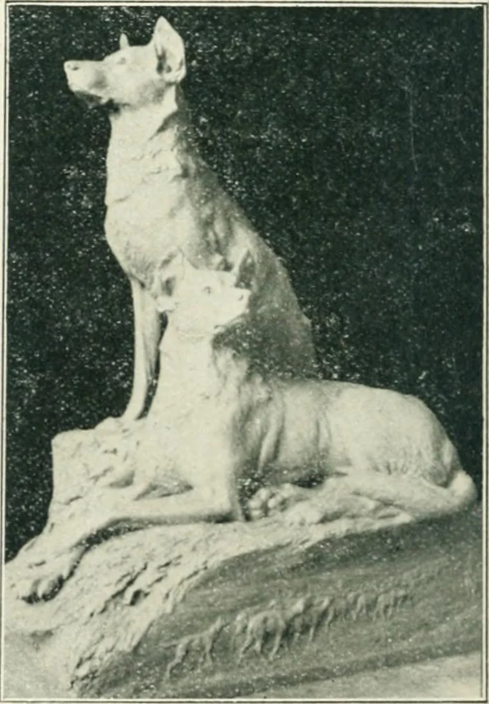 An illustration from Catalogue illustré, 1879, leaf 285