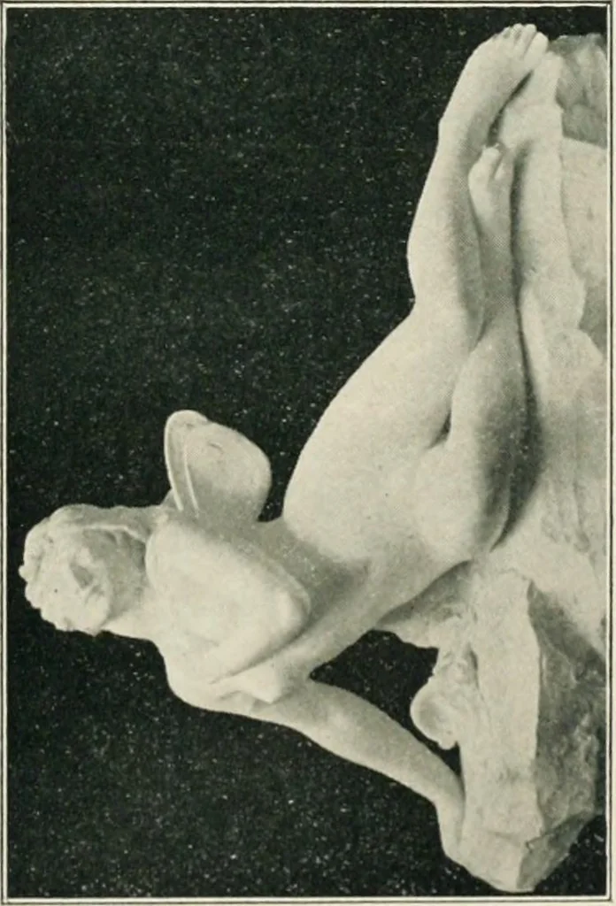An illustration from Catalogue illustré, 1879, leaf 286