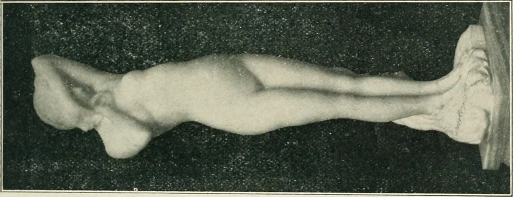 An illustration from Catalogue illustré, 1879, leaf 290