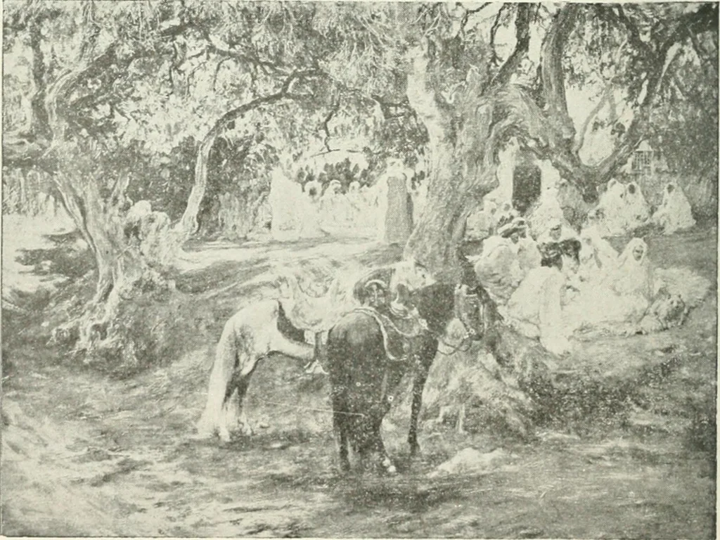 An illustration from Catalogue illustré, 1879, leaf 91