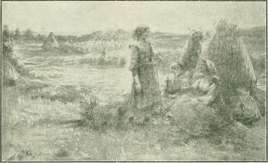 An illustration from Catalogue illustré, 1879, leaf 97