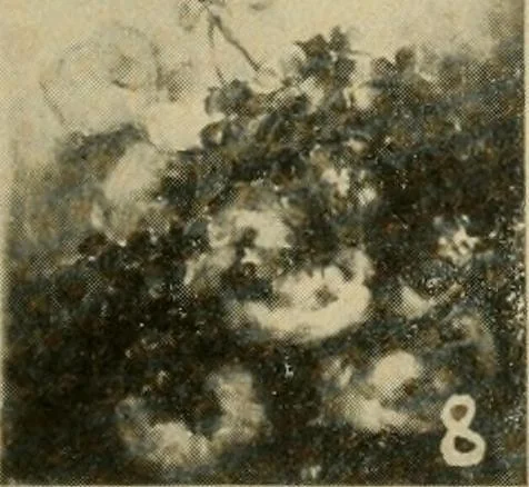 An illustration from Catalogue and instruction book., 1908, leaf 44