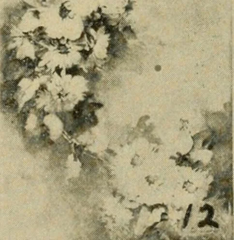 An illustration from Catalogue and instruction book., 1908, leaf 44