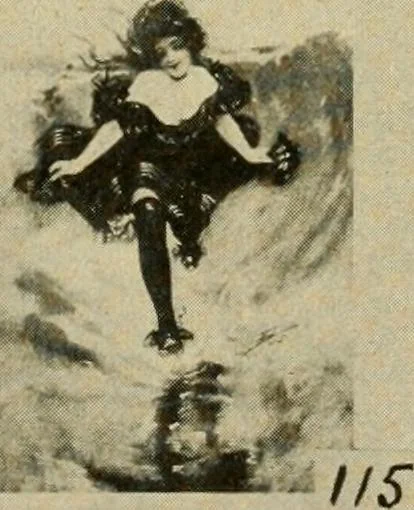 An illustration from Catalogue and instruction book., 1908, leaf 56