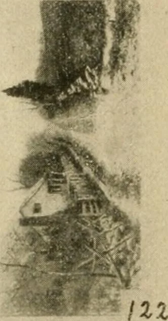 An illustration from Catalogue and instruction book., 1908, leaf 57