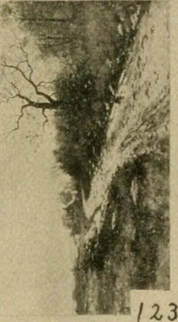 An illustration from Catalogue and instruction book., 1908, leaf 57
