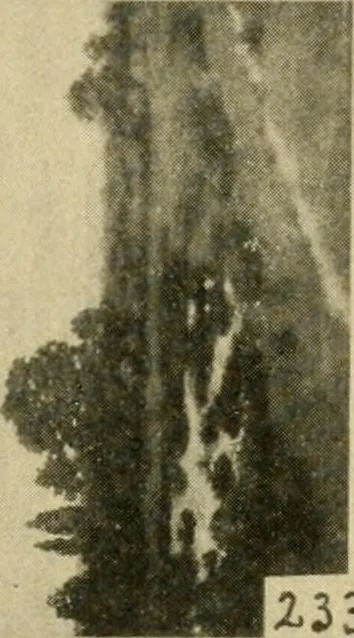 An illustration from Catalogue and instruction book., 1908, leaf 64