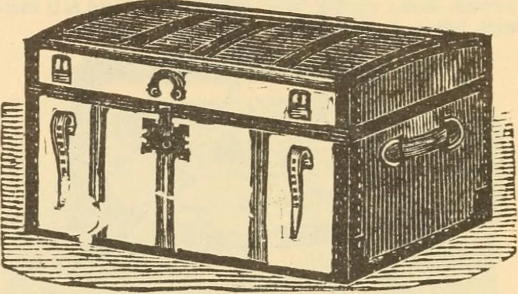 An illustration from Catalogue no. 13, spring and summer, 1875, 1875, leaf 51