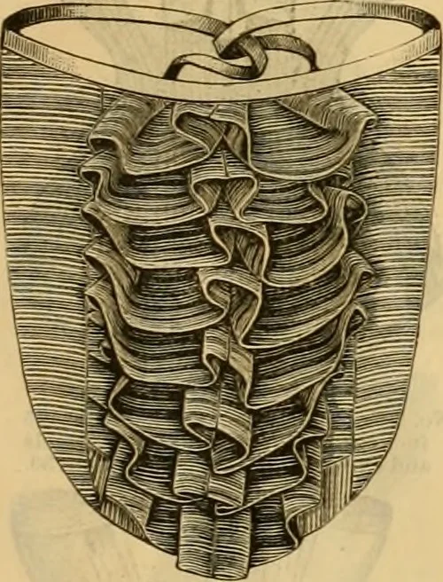 An illustration from Catalogue no. 52., 1886, leaf 18