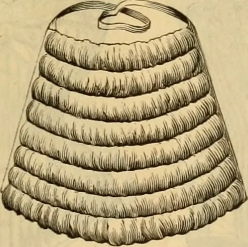 An illustration from Catalogue no. 52., 1886, leaf 18