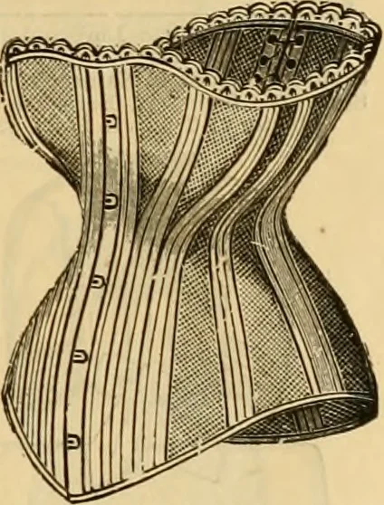 An illustration from Catalogue no. 52., 1886, leaf 20