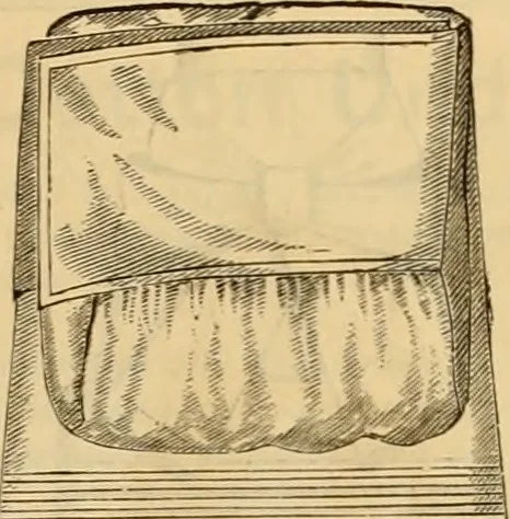 An illustration from Catalogue no. 52., 1886, leaf 26