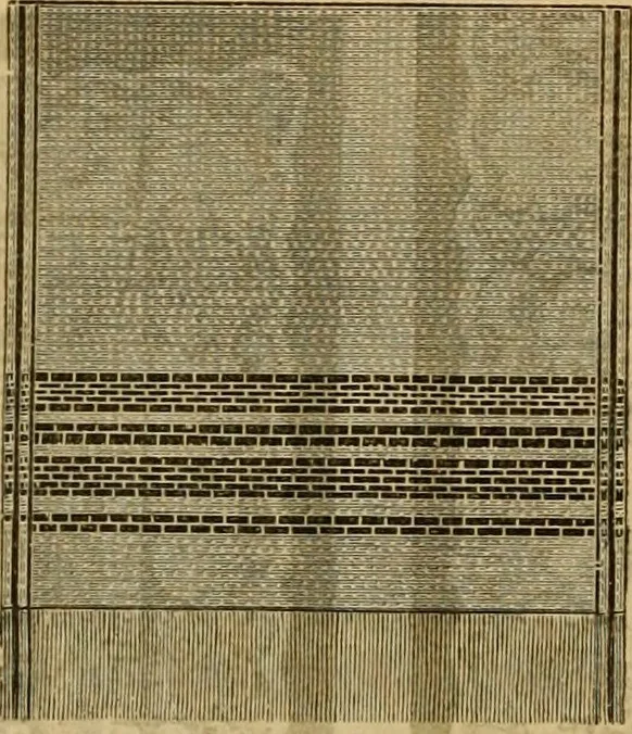An illustration from Catalogue no. 52., 1886, leaf 33