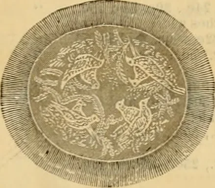 An illustration from Catalogue no. 52., 1886, leaf 36