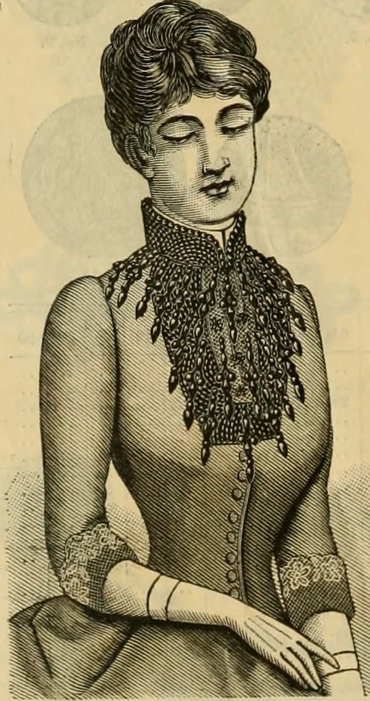 An illustration from Catalogue no. 52., 1886, leaf 43