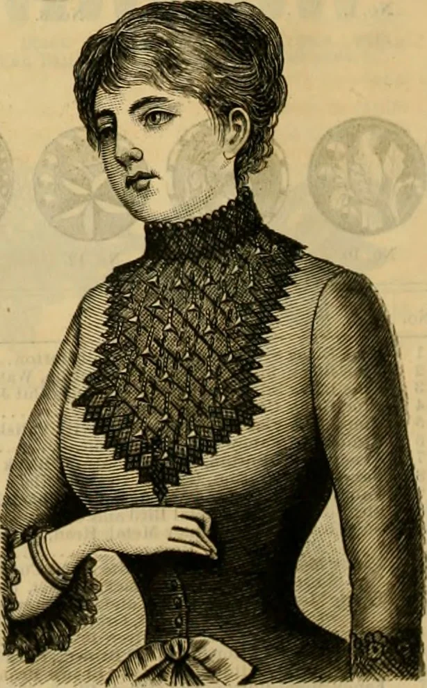 An illustration from Catalogue no. 52., 1886, leaf 43