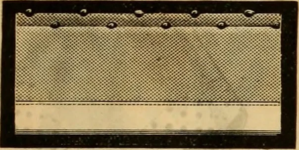 An illustration from Catalogue no. 52., 1886, leaf 50