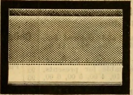 An illustration from Catalogue no. 52., 1886, leaf 50