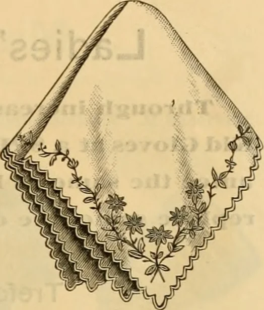 An illustration from Catalogue no. 52., 1886, leaf 52