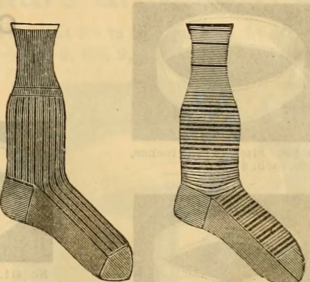 An illustration from Catalogue no. 52., 1886, leaf 56