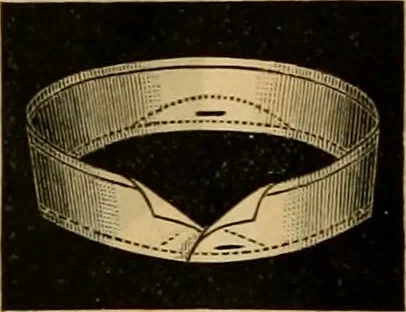 An illustration from Catalogue no. 52., 1886, leaf 57