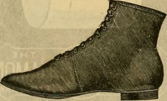 An illustration from Catalogue no. 52., 1886, leaf 59